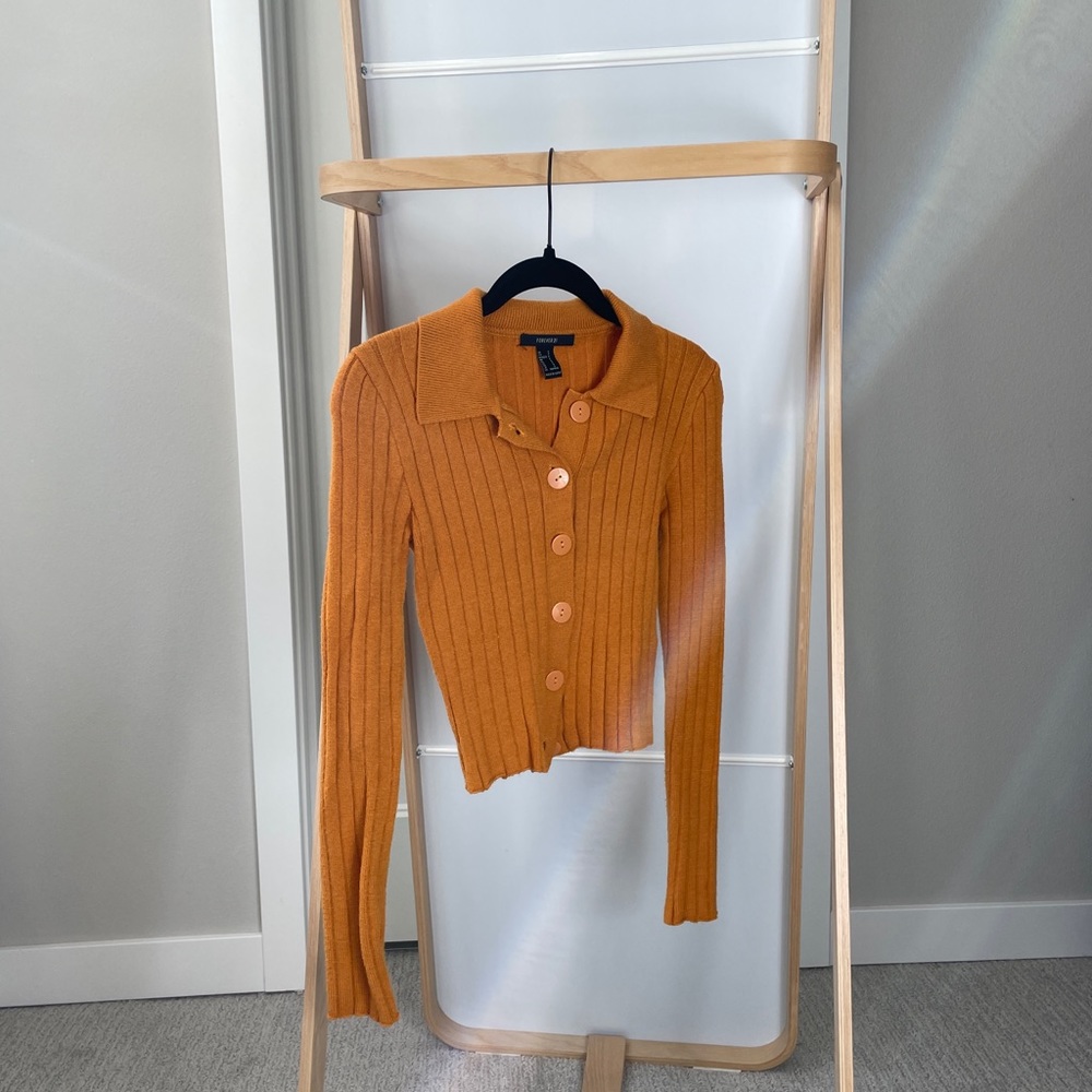 Forever 21 cropped sweater